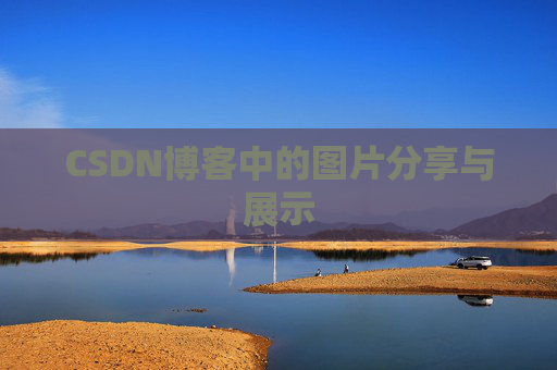 CSDN博客中的图片分享与展示